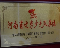 河南省优秀少先队集体